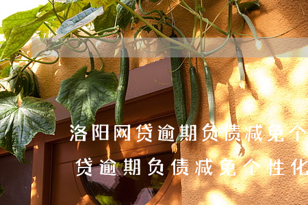 洛阳网贷逾期负债减免个性化分期-洛阳网贷逾期负债减免个性化分期还款