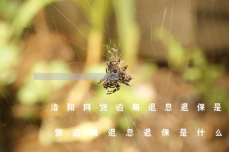 洛阳网贷逾期退息退保是什么意思-洛阳网贷逾期退息退保是什么意思啊