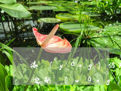 洛陽(yáng)信用卡網(wǎng)貸逾期(網(wǎng)貸逾期了怎么辦信用卡)