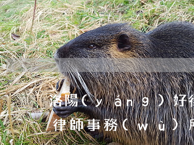 洛陽(yáng)好律師(洛陽(yáng)律師事務(wù)所免費(fèi)咨詢(xún))