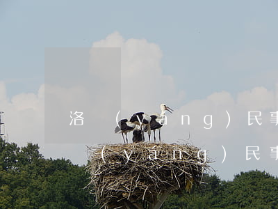 洛陽(yáng)民事債務(wù)律師(洛陽(yáng)民事債務(wù)律師)