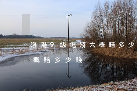 洛陽9級傷殘大概賠多少錢(洛陽9級傷殘大概賠多少錢)