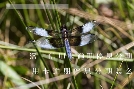 洛陽信用卡逾期停息分期怎么申請-洛陽信用卡逾期停息分期怎么申請的
