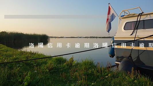 洛陽信用卡逾期(洛陽信用卡逾期處理)