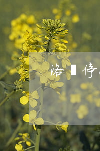 洛陽停息掛賬代辦公司