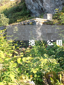 洛陽公租房條件有什么（公租房申請流程）