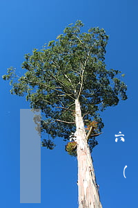 洛陽六萬網(wǎng)貸逾期怎么停息掛賬(網(wǎng)貸逾期多久可以申請停息掛賬)
