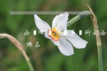 洛陽哪個律師事務所好(洛陽民事律師事務所排名)