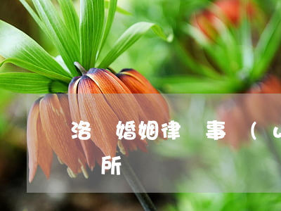 洛陽婚姻律師事務(wù)所(洛陽市婚姻介紹所電話號碼)