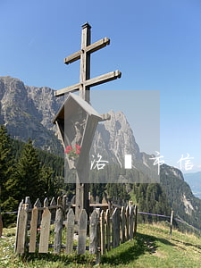 洛陽市信用卡透支判刑案