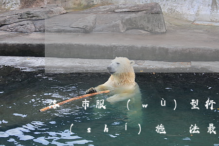 洛陽市服務(wù)型行政執(zhí)法實(shí)施辦法最新【全文】