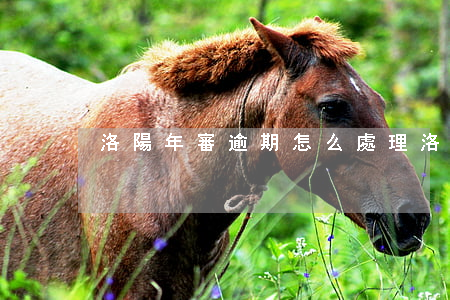 洛陽年審逾期怎么處理(洛陽年檢)