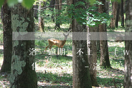 洛陽逾期還不上債務(wù)優(yōu)化怎么收費-洛陽債務(wù)違約