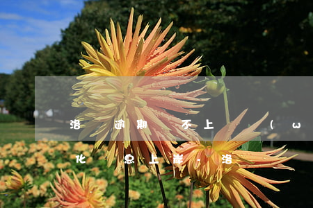 洛陽逾期還不上債務(wù)優(yōu)化減息上岸-洛陽債務(wù)違約