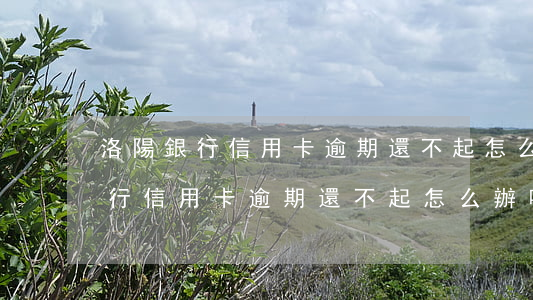 洛陽銀行信用卡逾期還不起怎么辦-洛陽銀行信用卡逾期還不起怎么辦呢