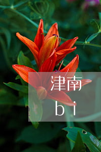 津南債務(wù)律師收費(fèi)標(biāo)準(zhǔn)