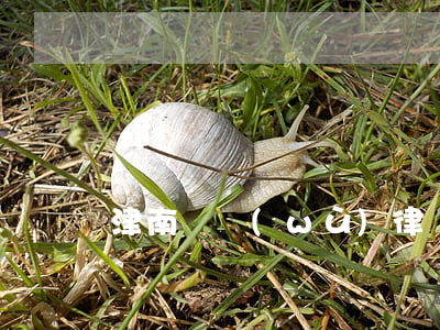 津南債務(wù)律師收費標準