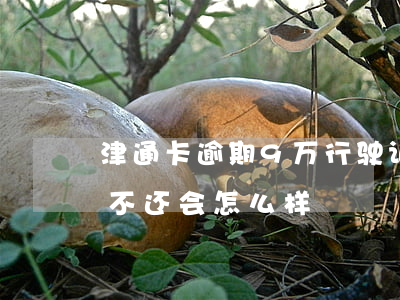 津通卡逾期9万行驶证会被吊销么-津通卡不还会怎么样