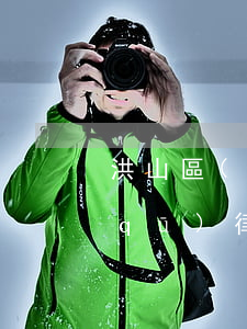 洪山區(qū)債務(wù)律師(洪山區(qū)律師咨詢)