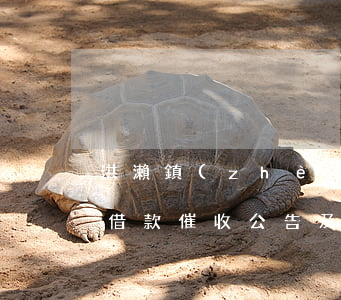洪瀨鎮(zhèn)逾期貸款催收公告(逾期借款催收公告及催收名單)