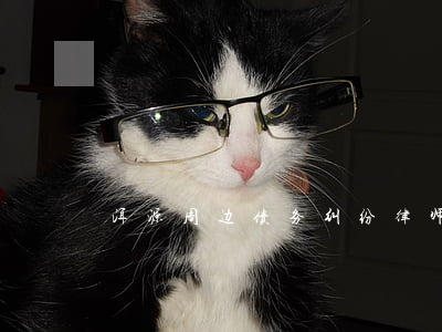 洱源周边债务纠纷律师(普洱法律援助律师)