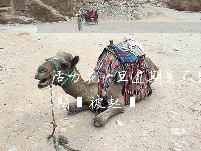 活力花一旦逾期是不是就不能用了（活力花逾期會被起訴）