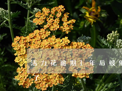 活力花逾期1年后被催收（活力花逾期3個月了）