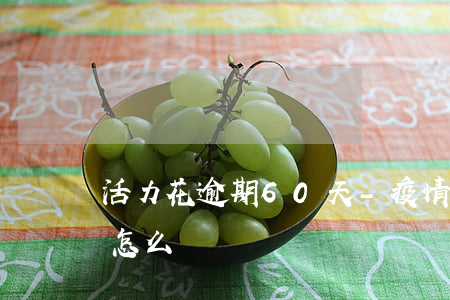 活力花逾期60天-疫情期間活力花逾期了怎么辦