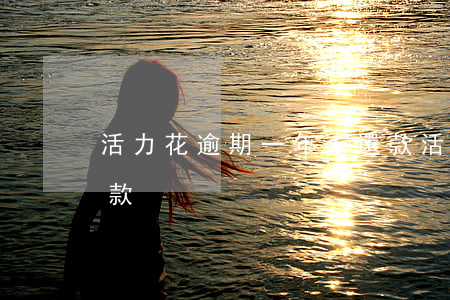 活力花逾期一年未還款(活力花逾期一年未還款)