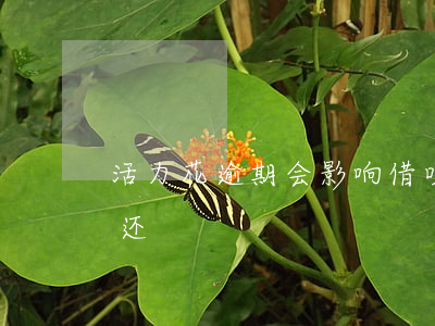 活力花逾期会影响借呗吗(活力花逾期要不要还)