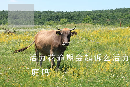 活力花逾期会起诉么(活力花逾期2年会去法庭吗)