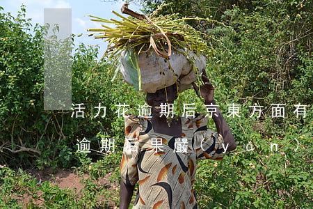 活力花逾期后京東方面有什么影響-活力花逾期后果嚴(yán)重嗎