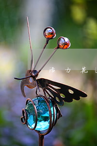 活力花逾期幾天-活力花逾期幾天