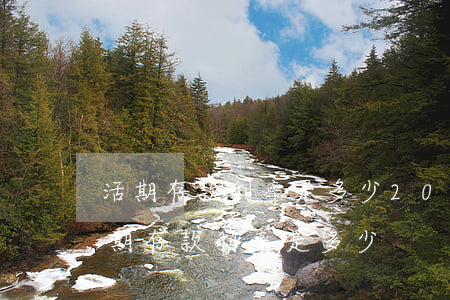 活期存款利率是多少(2022年工商银行活期存款利率是多少)