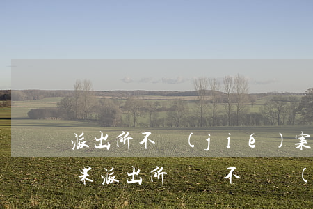 派出所不結(jié)案什么結(jié)果(派出所遲遲不給結(jié)案)