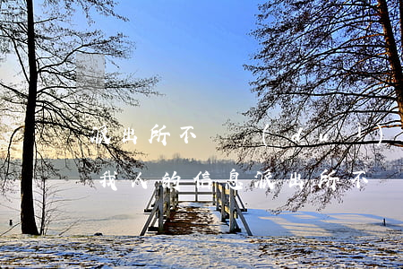 派出所不給對(duì)方信息怎么起訴(打我人的信息派出所不給怎么起訴)