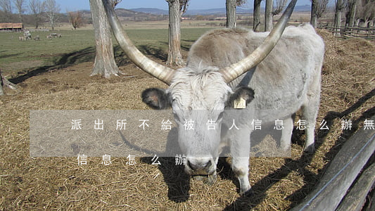派出所不給被告人信息怎么辦(無法知道被告信息怎么辦)