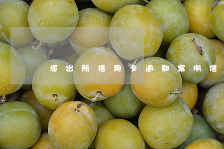 派出所信用卡逾期案例(信用卡逾期真實案例)