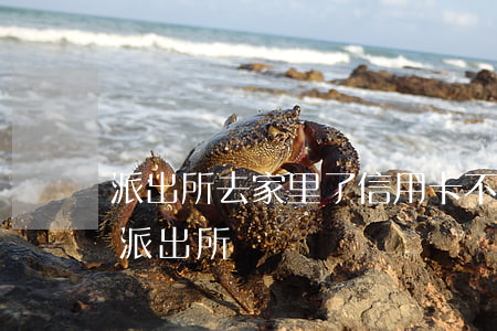 派出所去家里了信用卡不還(欠信用卡讓我去派出所)