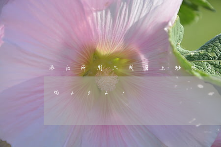 派出所周六周日上班吗 (派出所周六周日上班吗?2021)
