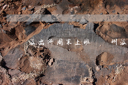 派出所周末上班嗎(廣州派出所周末上班嗎)