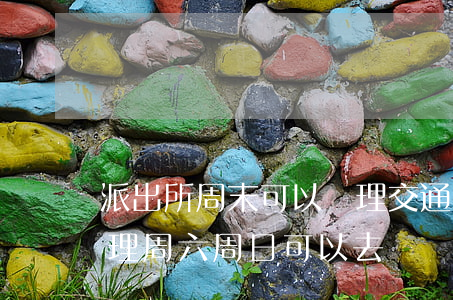 派出所周末可以處理交通違法嗎(交通違法處理周六周日可以去嗎)