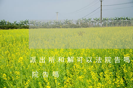 派出所和解可以法院告嗎(派出所和解可以法院告嗎)
