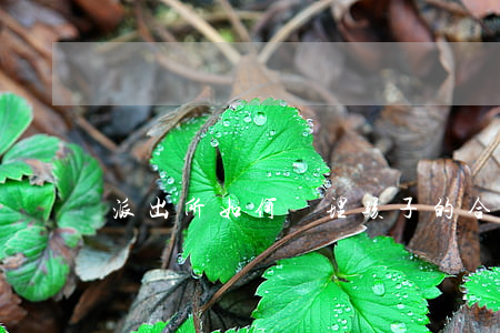 派出所如何處理孩子的合同糾紛