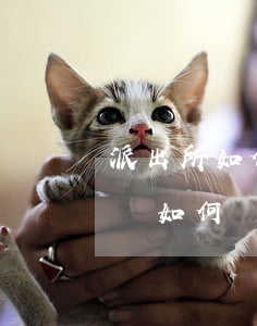 派出所如何處理孩子的合同糾紛(小孩糾紛家長如何處理)