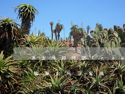 派出所如何認(rèn)定詐騙予以立案，詐騙派出所立案嗎