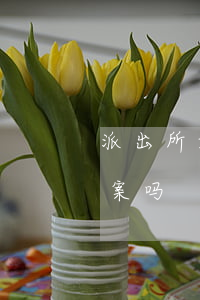 派出所如何认定诈骗予以立案，诈骗派出所立案吗