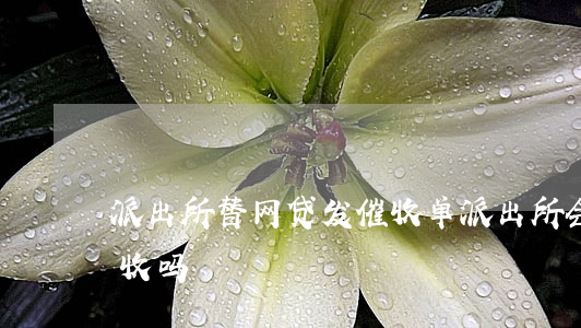 派出所替网贷发催收单(派出所会协助网贷催收吗)