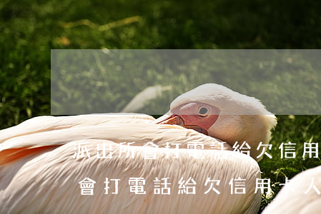 派出所會打電話給欠信用卡人員嗎-派出所會打電話給欠信用卡人員嗎怎么辦