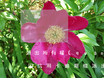 派出所有權(quán)管理信用卡逾期嗎(因信用卡逾期被派出所關(guān)起來后會怎么樣)